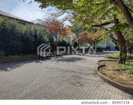 公園周邊公園 橫濱市都筑區隅丘公園 棒球場 兒童遊樂園 步行廣場 公園周邊公園 橫濱市都筑區隅丘公園 棒球場 兒童遊樂園 步行廣場 80947256