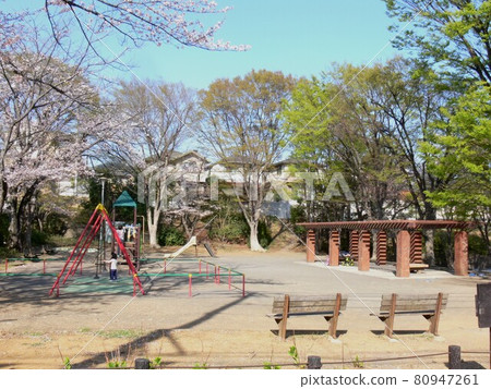 公園周邊公園 橫濱市都筑區隅丘公園 棒球場 兒童遊樂園 步行廣場 公園周邊公園 橫濱市都筑區隅丘公園 棒球場 兒童遊樂園 步行廣場 80947261