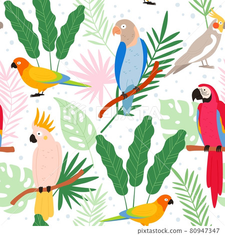 Colorful cartoon exotic parrots and tropical leaves seamless pattern. Cockatoo, macaw, colombia paradise bird. Flat wild parrot vector print Colorful cartoon exotic parrots and tropical leaves seamless pattern. Cockatoo, macaw, colombia paradise bird. Flat wild parrot vector print 80947347
