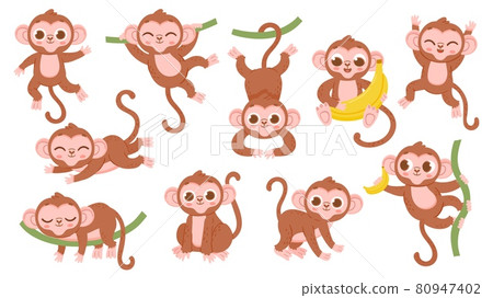 Cute cartoon jungle baby monkey character poses. Exotic tropical animal mascot, ape jumping on tree, holding banana and sleeping vector set 80947402