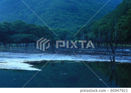 Tono City, Iwate Prefecture Summer Sennin-Toge Tono City, Iwate Prefecture Summer Sennin-Toge 80947921