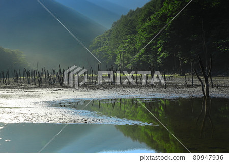 Tono City, Iwate Prefecture Summer Sennin-Toge 80947936