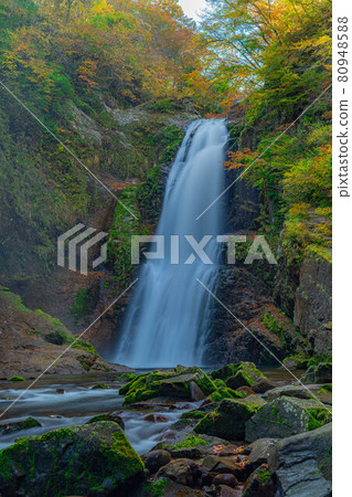 Autumn Akiu Otaki [Miyagi Prefecture] 80948588