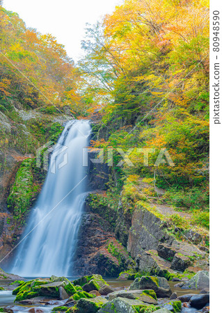 秋秋穗大喜[宮城縣] 80948590