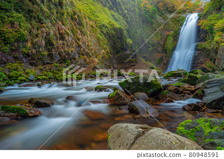 秋秋穗大喜[宮城縣] 80948591