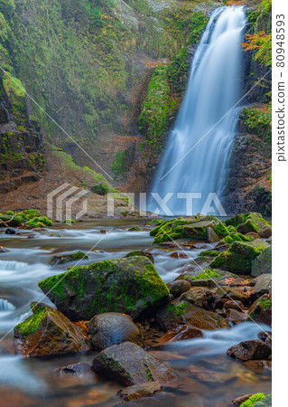 秋秋穗大喜[宮城縣] 80948593