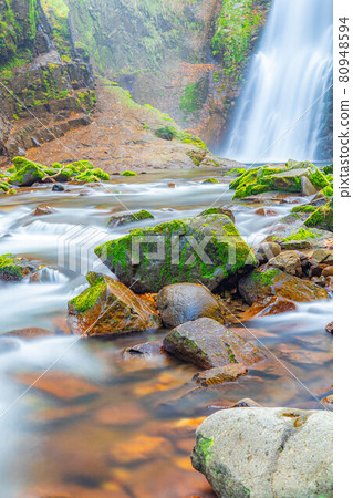 秋秋穗大喜[宮城縣] 80948594