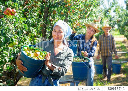 Asian female farmer carrying bucket with pears 80948741