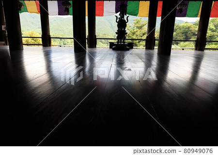 Hydrangeas of Nara Hase-dera Hydrangeas of Nara Hase-dera 80949076