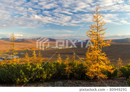 Beautiful autumn landscape Beautiful autumn landscape 80949291