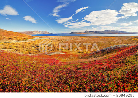 Picturesque autumn arctic landscape Picturesque autumn arctic landscape 80949295