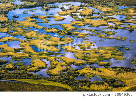 Top view of the oxbow lake and many small islands. Chukotka, Russia. 80949303