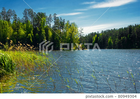 Valaam Island. Lake Ladoga, Republic of Karelia, Russia. 80949304