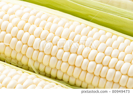 起來的白玉米（純白色）。 80949473