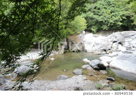 Summer autumn leaves and river Ryuguiwa Summer autumn leaves and river Ryuguiwa 80949536