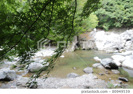 Summer autumn leaves and river Ryuguiwa Summer autumn leaves and river Ryuguiwa 80949539