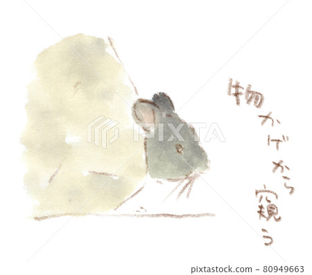 Watercolor painting of the chinchilla hide-and-seek (looking at this from the shadow) (illustration) Watercolor painting of the chinchilla hide-and-seek (looking at this from the shadow) (illustration) 80949663