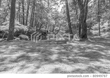 (Monochrome) Kyoto Saihoji Temple (Moss Temple) (Monochrome) Kyoto Saihoji Temple (Moss Temple) 80949787