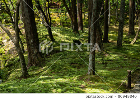 Kyoto Saihoji Temple (Moss Temple) Kyoto Saihoji Temple (Moss Temple) 80949840