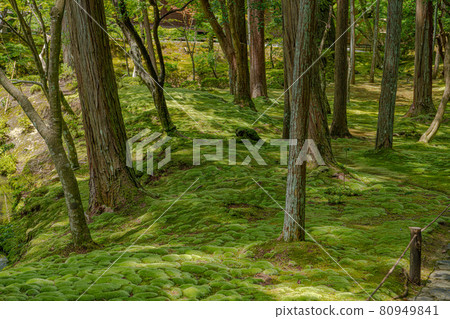 Kyoto Saihoji Temple (Moss Temple) Kyoto Saihoji Temple (Moss Temple) 80949841