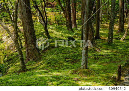 Kyoto Saihoji Temple (Moss Temple) Kyoto Saihoji Temple (Moss Temple) 80949842