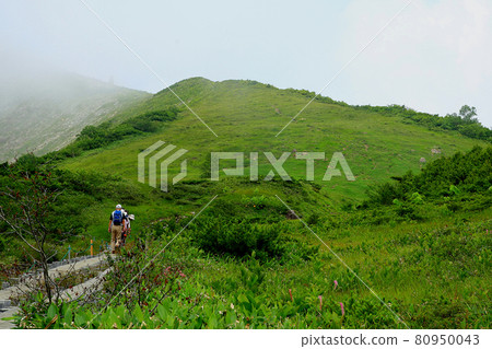 Hakuba Happoone Nature Research Road Nagano Prefecture Hakuba Happoone Nature Research Road Nagano Prefecture 80950043