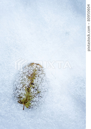 Hiruzen高原雪和落葉 80950604