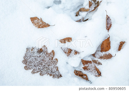 Hiruzen高原雪和落葉 80950605