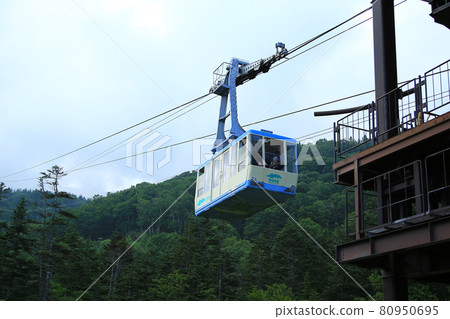 Tsugaike Nature Park Nagano Prefecture Tsugaike Nature Park Nagano Prefecture 80950695