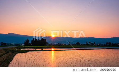 Rural scenery in early summer (dusk) 80950950