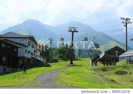 Tsugaike Nature Park Nagano Prefecture Tsugaike Nature Park Nagano Prefecture 80951029