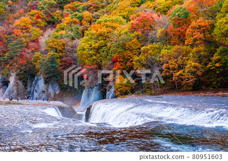 Fukiwaki Falls (Autumn) Fukiwaki Falls (Autumn) 80951603