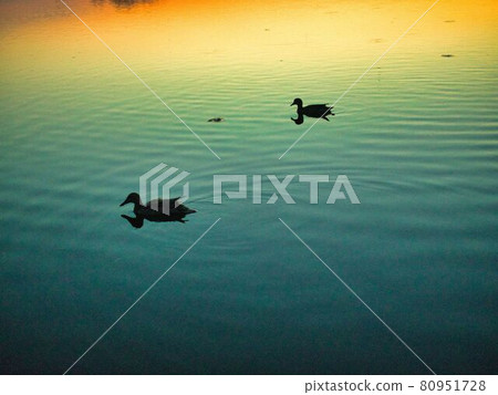 Morning glow at Lake Hyoko, Agano City, Niigata Prefecture Morning glow at Lake Hyoko, Agano City, Niigata Prefecture 80951728