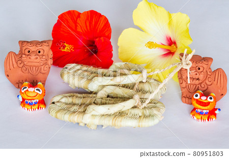 Hibiscus, Shisa and Adan Zori 80951803