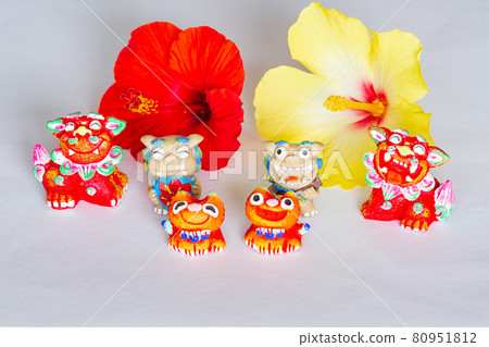 芙蓉和Shisa 80951812
