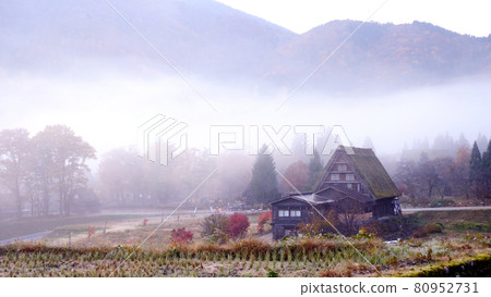Shirakawago of Gifu Shirakawago of Gifu 80952731