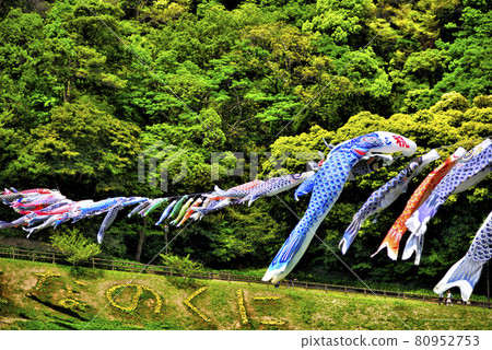 【神奈川】橫須賀久里濱花卉公園鯉魚旗 【神奈川】橫須賀久里濱花卉公園鯉魚旗 80952753