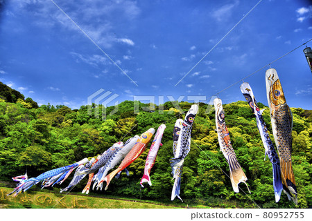 【神奈川】橫須賀久里濱花卉公園鯉魚旗 80952755