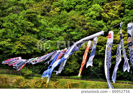 【神奈川】橫須賀久里濱花卉公園鯉魚旗 【神奈川】橫須賀久里濱花卉公園鯉魚旗 80952756