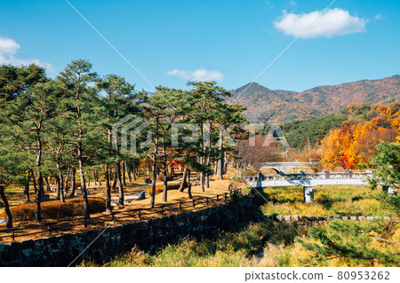 Autumn of Sosuseowon Confucian Academy in Yeongju, Korea 80953262