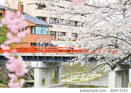 Nakahashi and Sakura / Takayama City Nakahashi and Sakura / Takayama City 80953352