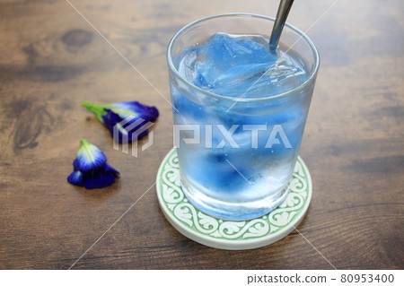 Bright blue double-flowered butterfly pea Bright blue double-flowered butterfly pea 80953400