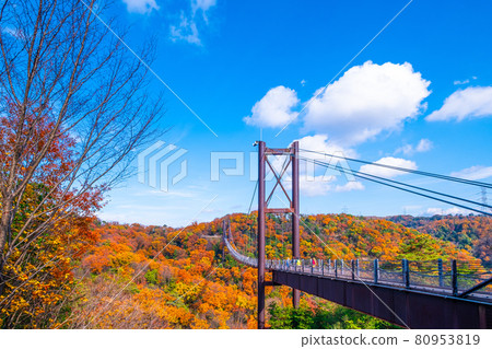 Prefectural Forest Autumn Leaves and Suspension Bridge in Hoshida Garden 80953819