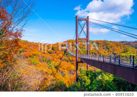 縣立林秋葉與星田庭園吊橋 80953820