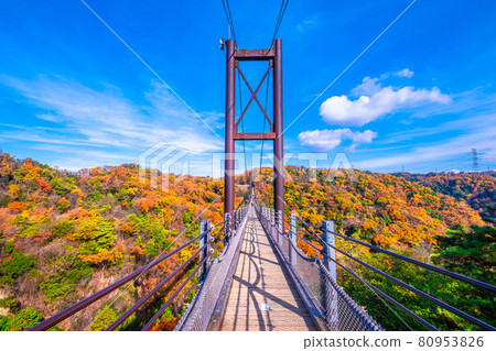 Prefectural Forest Autumn Leaves and Suspension Bridge in Hoshida Garden 80953826
