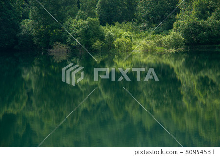 湖面夏季 80954531
