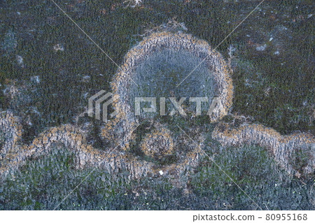 Oil stains on the side walls 80955168