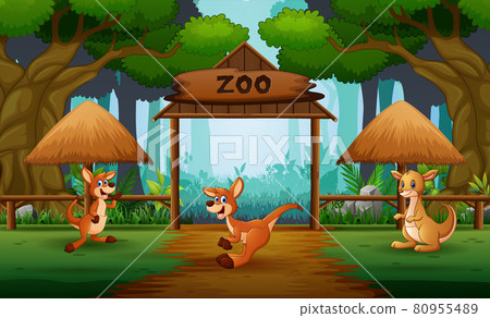 Cartoon three of kangaroos in the open zoo Cartoon three of kangaroos in the open zoo 80955489