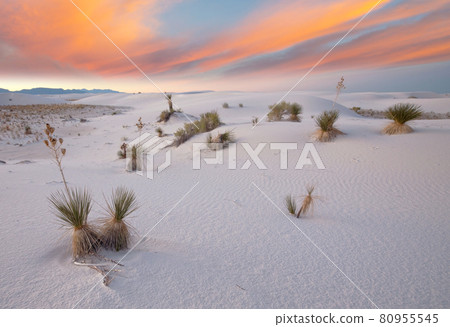 White sands White sands 80955545