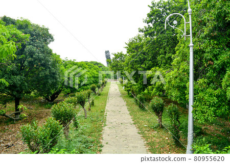 Beautiful park scene in public park with green grass field Beautiful park scene in public park with green grass field 80955620